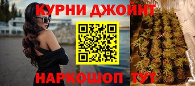 сатива Заводоуковск