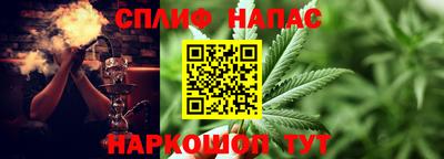 сатива Заводоуковск