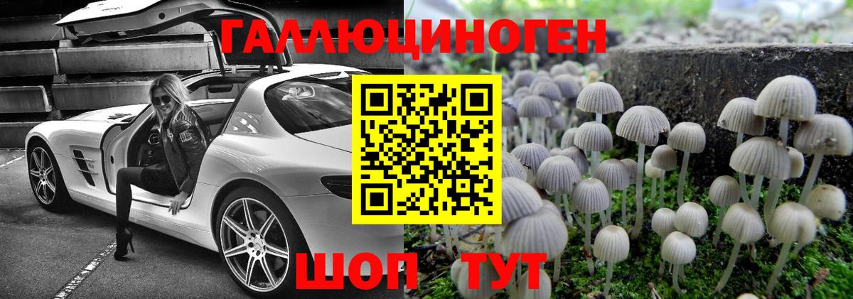Лениногорск  Псилоцибиновые грибы мицелий  Вход с VPN 